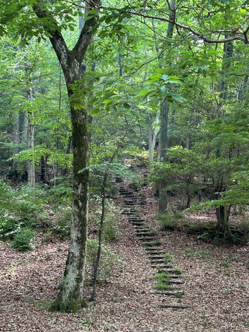 3週連続ソロキャンプ🏕️ CAMP BEAN ソロキャンプ 区画サイト Genさんのキャンプブログ CAMPiii（キャンピー） -キャンプ専用SNS キャンプのすべてがここに集まる-