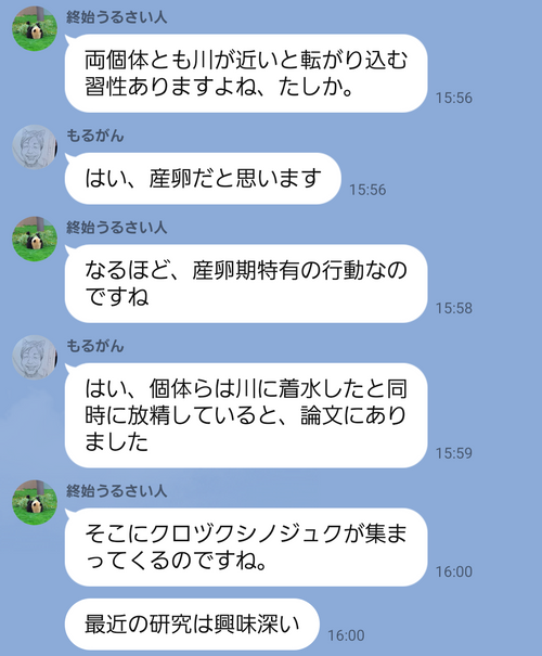 キャンプ行けない時の励みになったので共有 日本 IZUIZUさんのキャンプブログ CAMPiii（キャンピー） -キャンプ専用SNS キャンプのすべてがここに集まる-