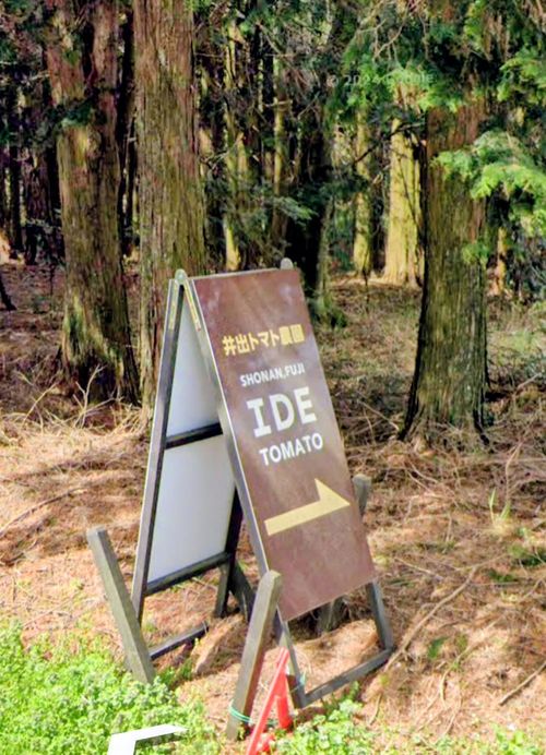 CAMPiii(キャンピー) キャムラー@RMS099さんのキャンプブログ DFM2025 前夜祭キャンプ 富士高原トマトフィールド