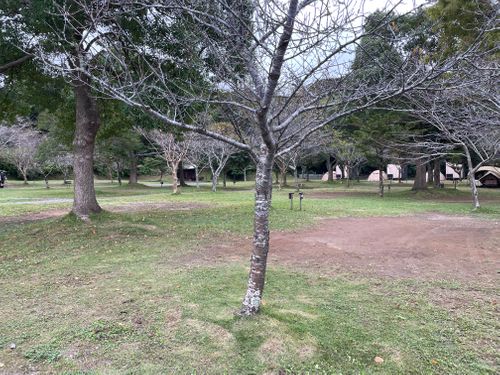 初の2泊キャンプと憧れのカンガルースタイル RECAMP 勝浦(旧しあわせの丘リゾート) ソロキャンプ 区画サイト オートサイト ぺちゃさんのキャンプブログ CAMPiii(キャンピー) -キャンプ専用SNS キャンプのすべてがここに集まる-