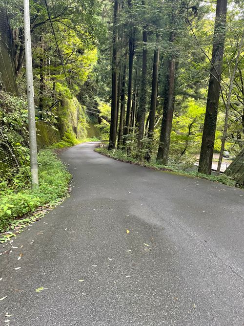 清流が目の前にある最高のロケーション!徒歩ソロで行く大鳩園キャンプ場 大鳩園キャンプ場 ソロキャンプ フリーサイト ma9さんのキャンプブログ CAMPiii(キャンピー) -キャンプ専用SNS キャンプのすべてがここに集まる-