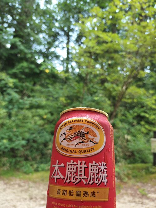 お医者様に外出はOKだと言われてたので 田立の滝オートキャンプ場 ソロキャンプ グループキャンプ 区画サイト オートサイト たかたかぽんたさんのキャンプブログ CAMPiii(キャンピー) -キャンプ専用SNS キャンプのすべてがここに集まる-