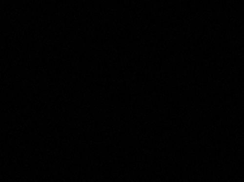 橘ふれあい公園キャンプ 橘ふれあい公園キャンプ場 ソロキャンプ オートサイト Maaaaaa!さんのキャンプブログ CAMPiii（キャンピー） -キャンプ専用SNS キャンプのすべてがここに集まる-