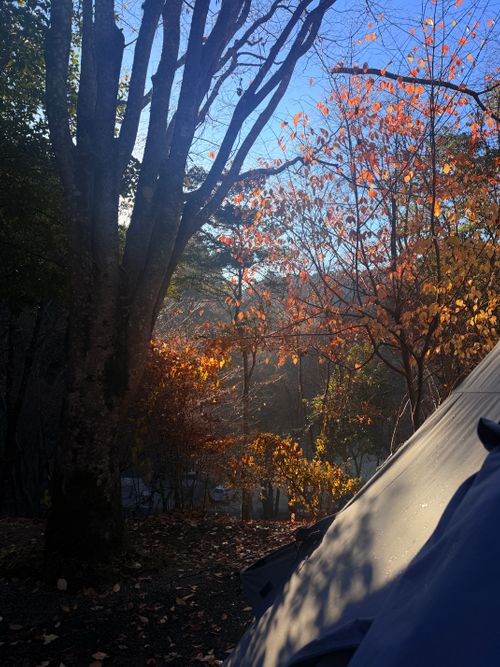 九州伊勢えびキャンプ@阿蘇レインボーバレーたる由縁🌈 阿蘇レインボーバレー グループキャンプ オートサイト ぐうたら夫婦さんのキャンプブログ CAMPiii（キャンピー） -キャンプ専用SNS キャンプのすべてがここに集まる-