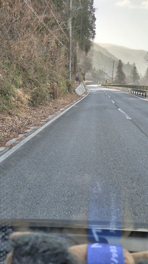 Bカップぐらいが良い 秩父市 ソロキャンプ グループキャンプ 区画サイト オートサイト IZUIZUさんのキャンプブログ CAMPiii（キャンピー） -キャンプ専用SNS キャンプのすべてがここに集まる-