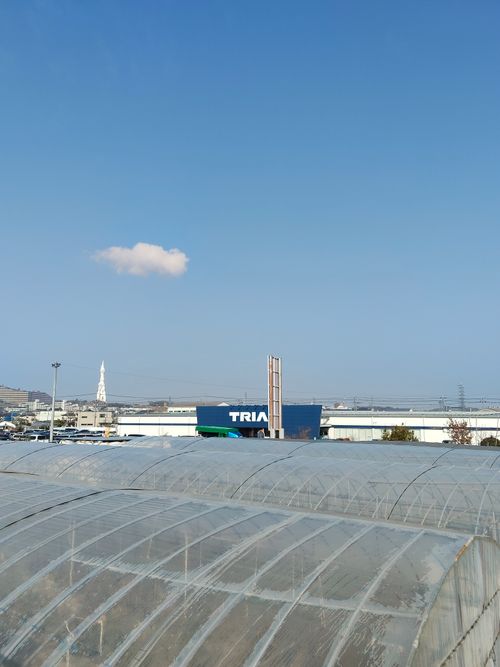 大阪の村 campsite麓 ソロキャンプ フリーサイト おっとまんSさんのキャンプブログ CAMPiii（キャンピー） -キャンプ専用SNS キャンプのすべてがここに集まる-