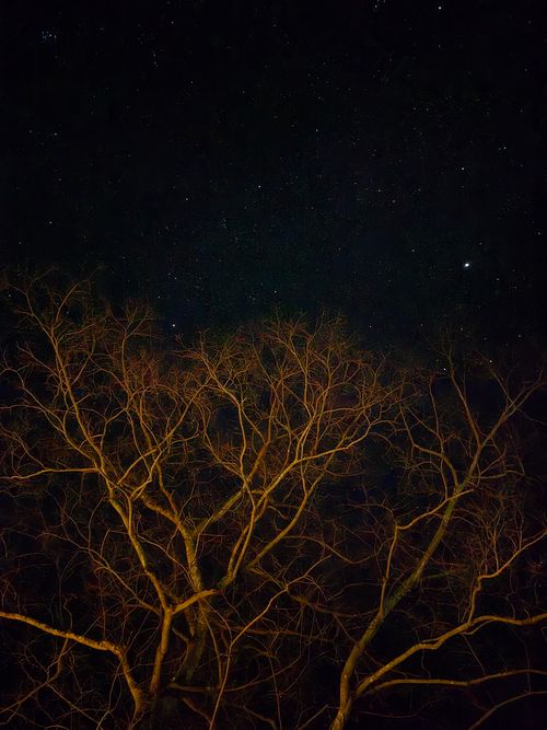 2026年初キャンプ 秋吉台家族旅行村 ファミリーキャンプ 区画サイト オートサイト KSKさんのキャンプブログ CAMPiii（キャンピー） -キャンプ専用SNS キャンプのすべてがここに集まる-