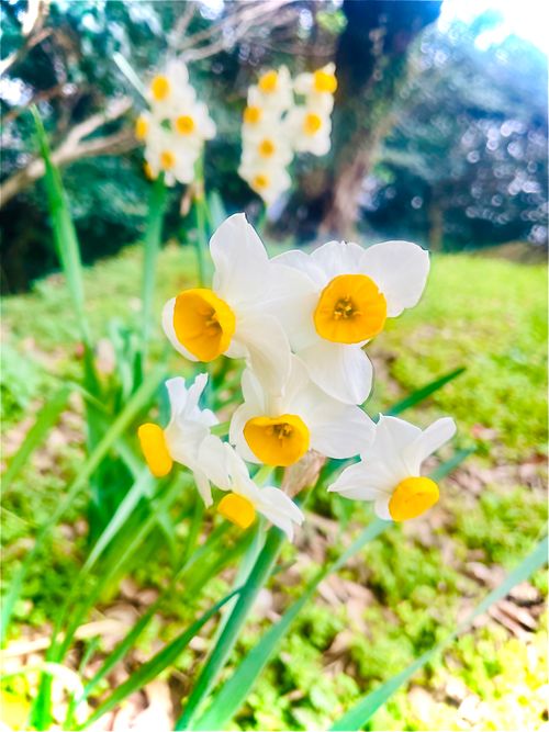 仕事に託け&hellip;KINAKOでお初のおじうさ車中泊キャン△ in めかり公園 〜 CAMP NO.178 和布刈公園 ソロキャンプ ファミリーキャンプ キャンピングカー おじキャン△さんのキャンプブログ CAMPiii（キャンピー） -キャンプ専用SNS キャンプのすべてがここに集まる-