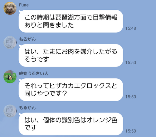 キャンプ行けない時の励みになったので共有 日本 IZUIZUさんのキャンプブログ CAMPiii（キャンピー） -キャンプ専用SNS キャンプのすべてがここに集まる-