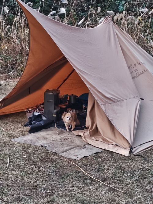 おとかめオフ会 #FOb 志高湖キャンプ場 グループキャンプ フリーサイト オートサイト けい＠福島県さんのキャンプブログ CAMPiii（キャンピー） -キャンプ専用SNS キャンプのすべてがここに集まる-