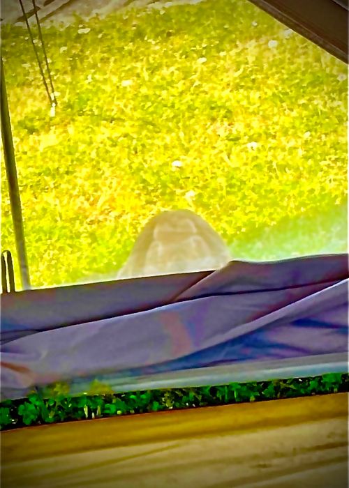 なーんもしないマッタリおじうさキャン△ in ゆうゆう広場 〜 CAMP NO.185 ゆうゆう広場 ソロキャンプ ファミリーキャンプ フリーサイト 区画サイト おじキャン△さんのキャンプブログ CAMPiii（キャンピー） -キャンプ専用SNS キャンプのすべてがここに集まる-