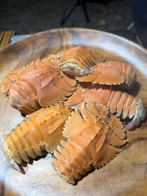 九州伊勢えびキャンプ🦞̥@紅葉観に行こーよ🍁 阿蘇レインボーバレー ファミリーキャンプ オートサイト ぐうたら夫婦さんのキャンプブログ CAMPiii（キャンピー） -キャンプ専用SNS キャンプのすべてがここに集まる-