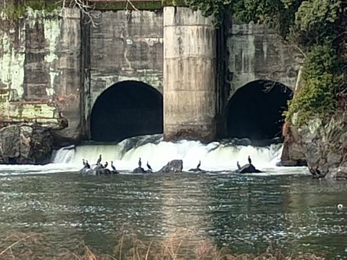 親子 de ポーランド合同演習 in小倉橋駐屯地 小倉橋下の河川敷 ファミリーキャンプ フリーサイト ウエィダーさんのキャンプブログ CAMPiii（キャンピー） -キャンプ専用SNS キャンプのすべてがここに集まる-