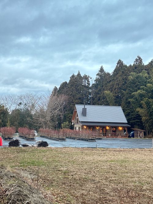 🎊新規キャンプ場オープン🎉🎉🎉 紫星の森 Oniyomeさんのキャンプブログ CAMPiii（キャンピー） -キャンプ専用SNS キャンプのすべてがここに集まる-