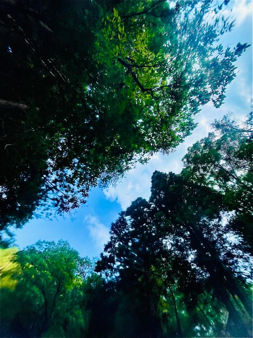 暑い夏に…涼を求めて…渓谷のキャンプ場へおじおばうさキャン△ in 匹見峡レストパーク 〜 CAMP NO.148 匹見峡レストパーク ファミリーキャンプ グループキャンプ 区画サイト おじキャン△さんのキャンプブログ CAMPiii（キャンピー） -キャンプ専用SNS キャンプのすべてがここに集まる-