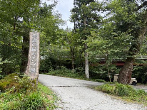 CAMPiii（キャンピー） かとかとさんのキャンプブログ 沢のせせらぎ癒しキャンプ 道志の森キャンプ場