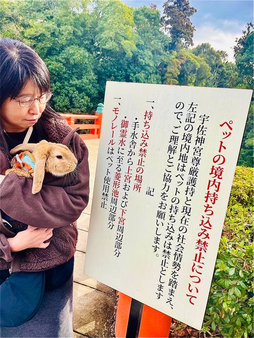 天国と地獄！？ 聖なる夜を愉しむおじおばうさキャン△ in グランヴェルデリゾート 〜 CAMP NO.168 GRAND VERDE RESORT ファミリーキャンプ グループキャンプ フリーサイト おじキャン△さんのキャンプブログ CAMPiii（キャンピー） -キャンプ専用SNS キャンプのすべてがここに集まる-