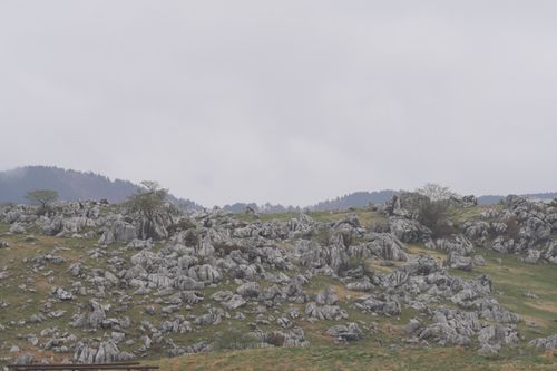 全国旅キャンプ第14弾は高知編 ソロキャンプ ENJOY THE OUTDOORSさんのキャンプブログ CAMPiii（キャンピー） -キャンプ専用SNS キャンプのすべてがここに集まる-