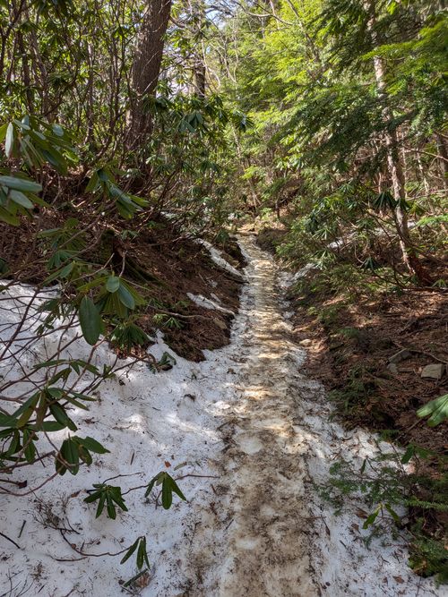 ちくいち (標高約1200m)(オートフリーサイト4500円) 内山牧場 ソロキャンプ グループキャンプ フリーサイト オートサイト IZUIZUさんのキャンプブログ CAMPiii（キャンピー） -キャンプ専用SNS キャンプのすべてがここに集まる-