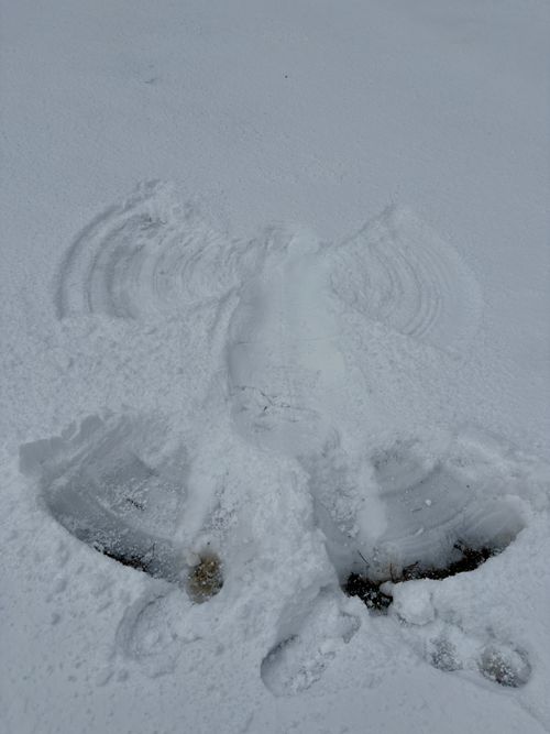 新年雪中デビュー⛄️❄️🌨🏔️@後編 閑乗寺公園 第2キャンプ場 ファミリーキャンプ 区画サイト オートサイト ぐうたら夫婦さんのキャンプブログ CAMPiii（キャンピー） -キャンプ専用SNS キャンプのすべてがここに集まる-
