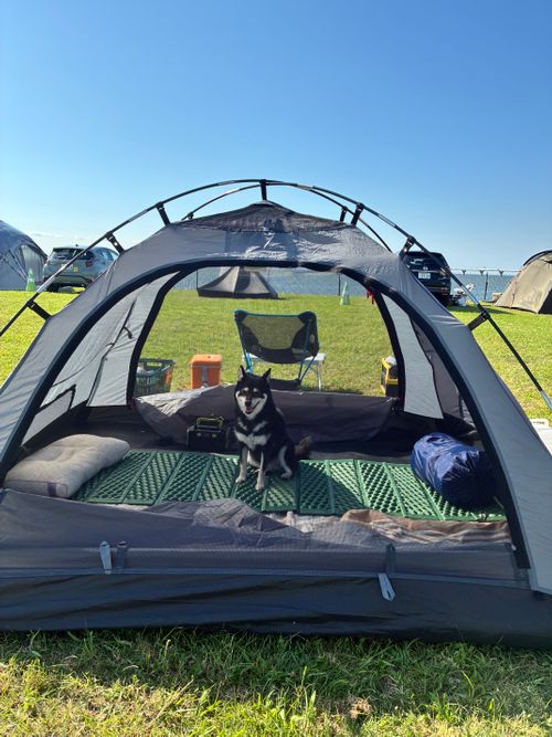 キャンプでワールドカップ きさらづCAMP in MITATE ソロキャンプ フリーサイト オートサイト アクセルさんのキャンプブログ CAMPiii（キャンピー） -キャンプ専用SNS キャンプのすべてがここに集まる-