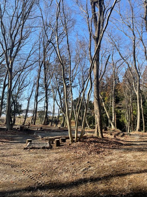 薪放題に満足🪵 くにあきの森：あなたまかせのキャンプ場 グループキャンプ ソロキャンプ フリーサイト もるがんさんのキャンプブログ CAMPiii（キャンピー） -キャンプ専用SNS キャンプのすべてがここに集まる-