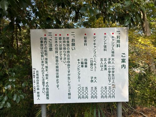 ハンモックの聖地でのんびりソロ＋ソロ 月尾根自然の森キャンプ場 ソロキャンプ グループキャンプ フリーサイト KOBApapaさんのキャンプブログ CAMPiii（キャンピー） -キャンプ専用SNS キャンプのすべてがここに集まる-