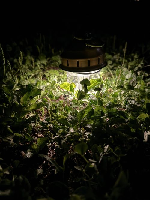 初めての湖畔 おおぐて湖キャンプ場 ソロキャンプ オートサイト 区画サイト まりさんのキャンプブログ CAMPiii（キャンピー） -キャンプ専用SNS キャンプのすべてがここに集まる-