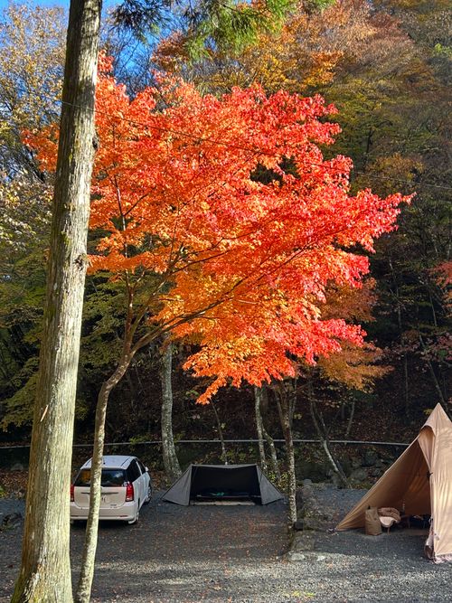 CAMPiii（キャンピー） Genさんのキャンプブログ 紅葉🍁キャンプ 山伏オートキャンプ場