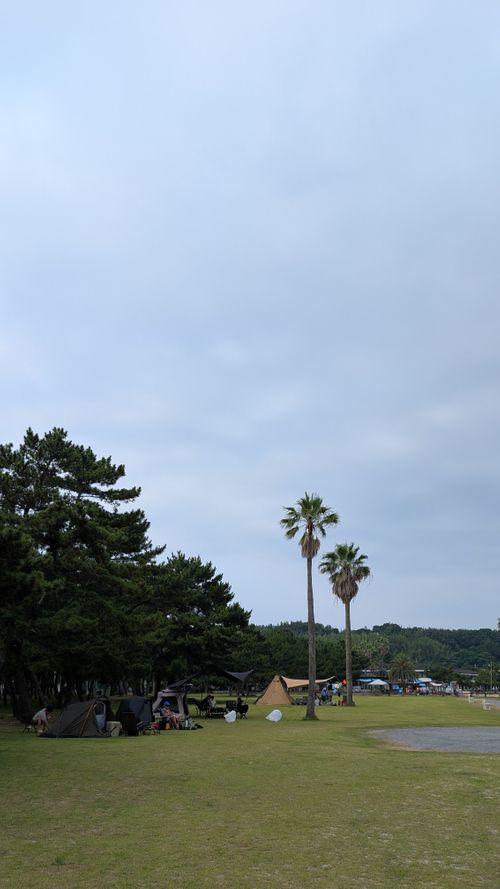 夏は○○○にご用心 野遊び浜キャンプ場 ファミリーキャンプ グループキャンプ フリーサイト ヒゲキャンさんのキャンプブログ CAMPiii（キャンピー） -キャンプ専用SNS キャンプのすべてがここに集まる-
