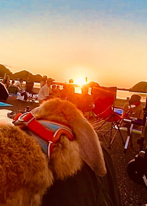 今年もワンピースを目指して来た(だに)💕 海原大冒険とお祭りで大盛り上がりのおじおばうさ海賊王キャン△ in 田万川キャンプ場 〜 CAMP NO.146 田万川キャンプ場 ファミリーキャンプ グループキャンプ フリーサイト おじキャン△さんのキャンプブログ CAMPiii(キャンピー) -キャンプ専用SNS キャンプのすべてがここに集まる-