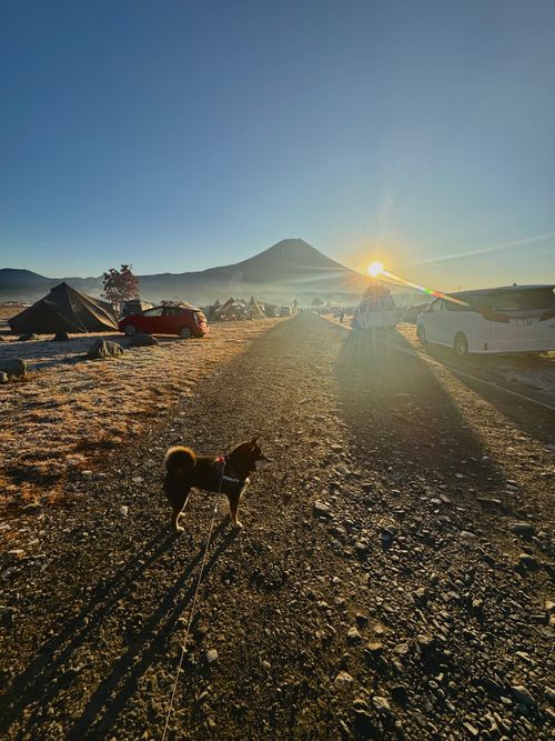 今月2回目⛺️今回も天気に恵まれて最高 ふもとっぱらキャンプ場 ソロキャンプ フリーサイト OYAKATAさんのキャンプブログ CAMPiii（キャンピー） -キャンプ専用SNS キャンプのすべてがここに集まる-