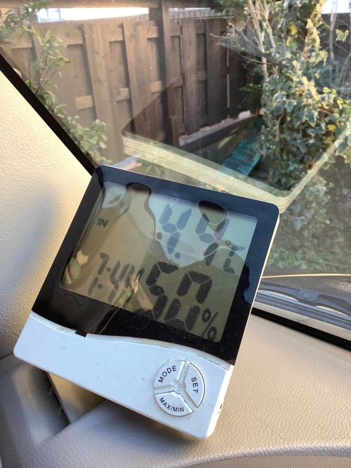 Vol.110 25/NO.29 今年最後の集い‼️ 〆は牡丹鍋で‼️ 坂戸市 ソロキャンプ フリーサイト 🔥焚き火🔥さんのキャンプブログ CAMPiii（キャンピー） -キャンプ専用SNS キャンプのすべてがここに集まる-