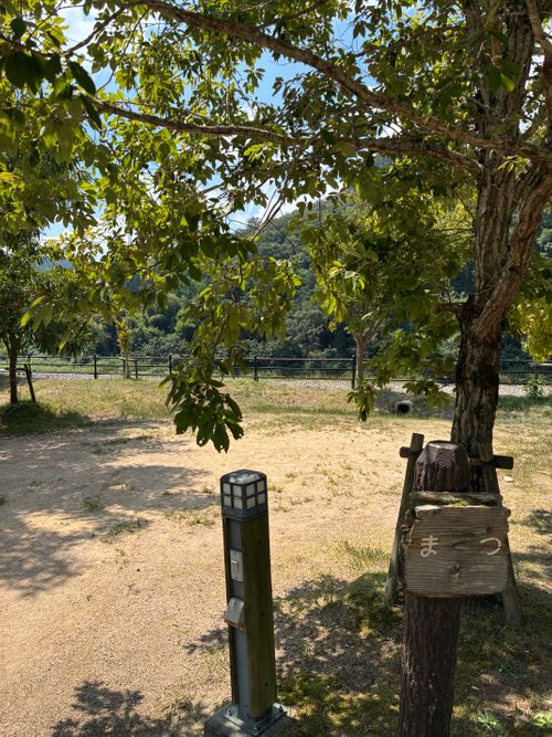 2025年11回目、川遊びキャン🏄🏻♂️ 江の川カヌー公園さくぎ ファミリーキャンプ 区画サイト オートサイト わいげさんのキャンプブログ CAMPiii(キャンピー) -キャンプ専用SNS キャンプのすべてがここに集まる-