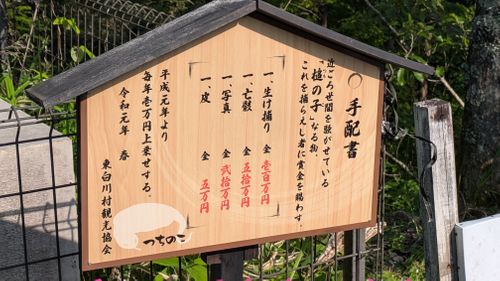 のんびり手抜きキャンプ 東白川アウトドアリゾートGRANPEAKS ファミリーキャンプ オートサイト いっちーさんのキャンプブログ CAMPiii（キャンピー） -キャンプ専用SNS キャンプのすべてがここに集まる-