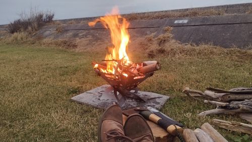 会社の仲間とグルキャン 糸島ピクニックビレッジ オートキャンプ場 グループキャンプ 区画サイト スローライフに憧れるさんのキャンプブログ CAMPiii（キャンピー） -キャンプ専用SNS キャンプのすべてがここに集まる-