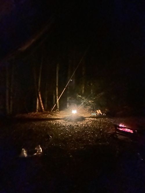 花見キャンプのはずなのに🤔 伊豆キャンパーズヴィレッジ ソロキャンプ フリーサイト Genさんのキャンプブログ CAMPiii（キャンピー） -キャンプ専用SNS キャンプのすべてがここに集まる-