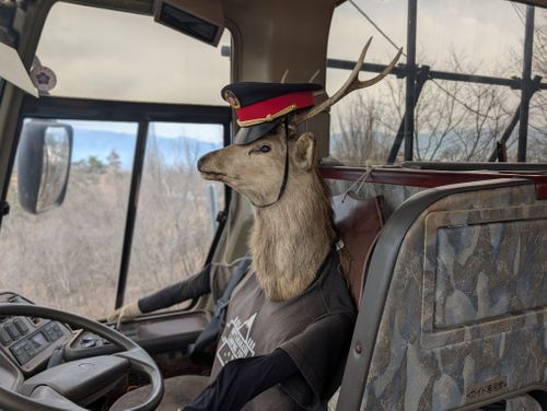 再始動&hellip;いざ復活の地へ！ ほったらかしキャンプ場 ファミリーキャンプ 区画サイト 好々爺🇯🇵さんのキャンプブログ CAMPiii（キャンピー） -キャンプ専用SNS キャンプのすべてがここに集まる-