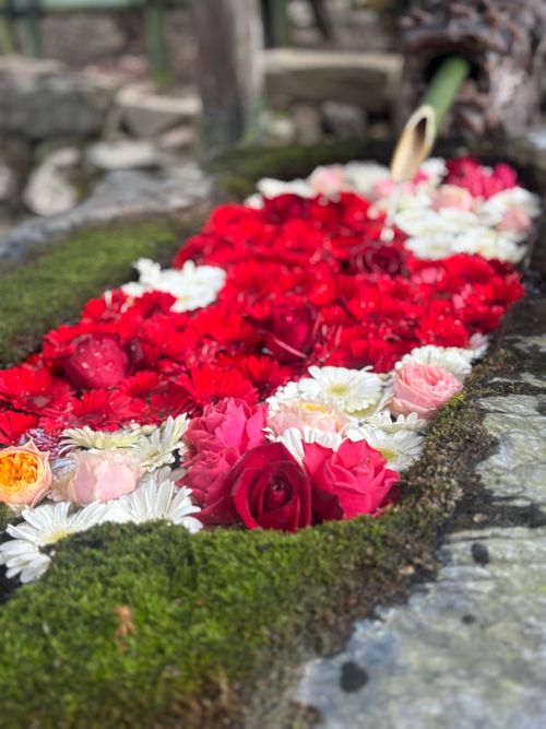 【番外編】𝗛𝗮𝗽𝗽𝘆 𝗡𝗲𝘄 𝗬𝗲𝗮𝗿♬︎*.:* キャンプグランド・ベアーベル Oniyomeさんのキャンプブログ CAMPiii（キャンピー） -キャンプ専用SNS キャンプのすべてがここに集まる-