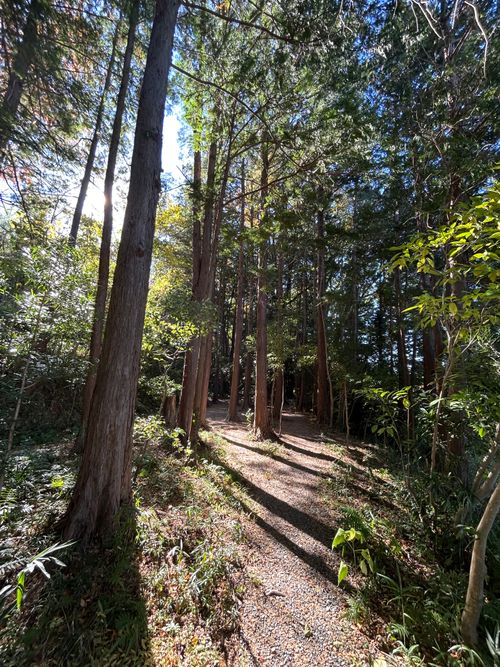 今年最後かもしれないキャンプ Grandma's Garden Kamitonda ソロキャンプ 区画サイト △kuuga△さんのキャンプブログ CAMPiii（キャンピー） -キャンプ専用SNS キャンプのすべてがここに集まる-