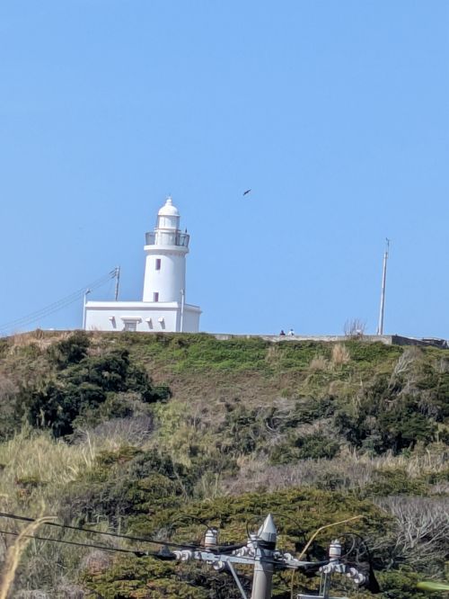 さらば愛しきハスラー お台場 海浜庭園 グループキャンプ フリーサイト hachi329さんのキャンプブログ CAMPiii（キャンピー） -キャンプ専用SNS キャンプのすべてがここに集まる-