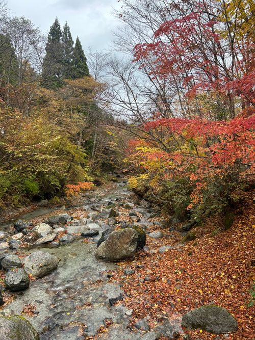 紅葉🍁キャンプ 山伏オートキャンプ場 ソロキャンプ グループキャンプ 区画サイト Genさんのキャンプブログ CAMPiii（キャンピー） -キャンプ専用SNS キャンプのすべてがここに集まる-