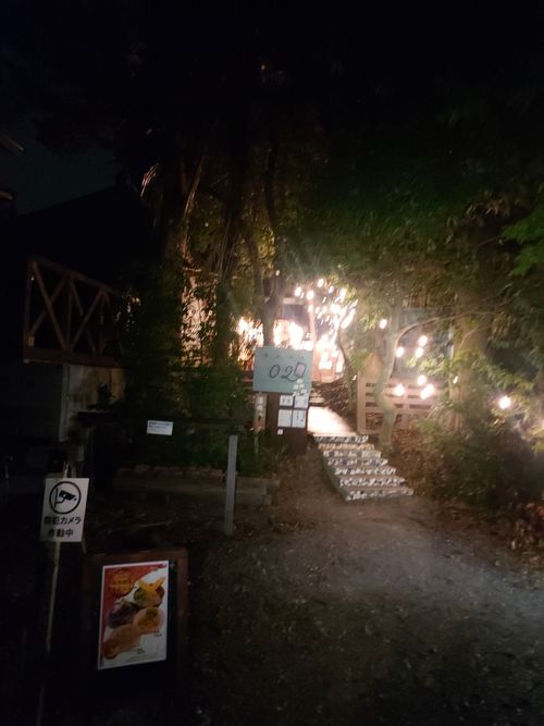 東京行って帰りは電車と徒歩でてくてく👣キャンプ⛺ さいたま桃月園キャンプ場 ソロキャンプ 区画サイト ひろ16さんのキャンプブログ CAMPiii（キャンピー） -キャンプ専用SNS キャンプのすべてがここに集まる-