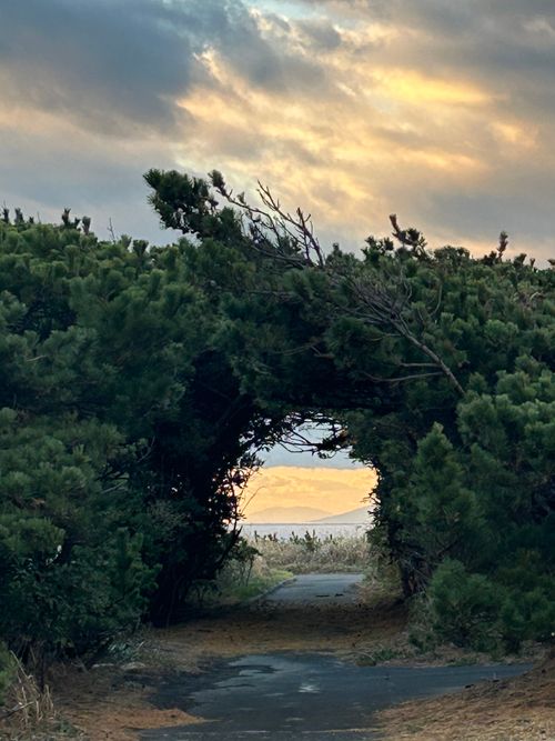 バックパックに憧れて、ついに決行 トウシキキャンプ場(野営場)無料 ソロキャンプ グループキャンプ フリーサイト Genさんのキャンプブログ CAMPiii（キャンピー） -キャンプ専用SNS キャンプのすべてがここに集まる-