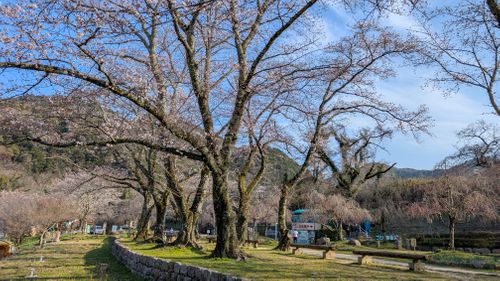 関西初幕張り 笠置キャンプ場 ソロキャンプ フリーサイト アークさんのキャンプブログ CAMPiii（キャンピー） -キャンプ専用SNS キャンプのすべてがここに集まる-