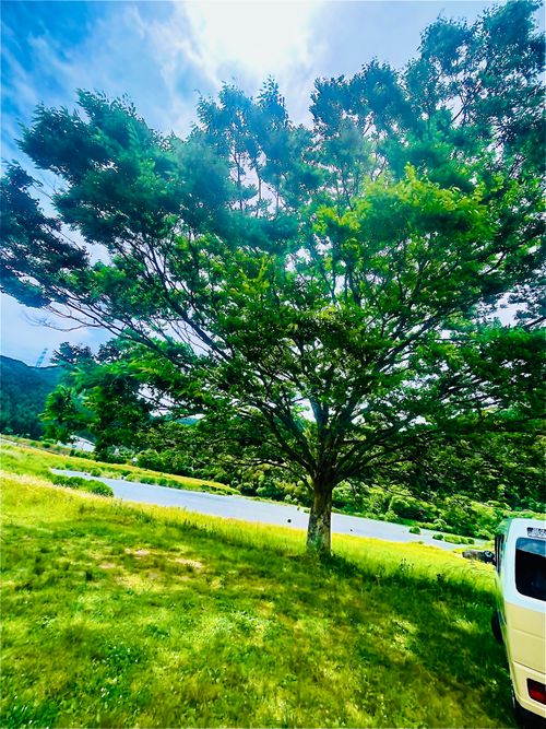 ほっ、ほっ、ほ〜たる来い💕 おじうさグルキャン△ in 阿武川河川敷 〜 CAMP NO.193 川上 ソロキャンプ ファミリーキャンプ グループキャンプ フリーサイト おじキャン△さんのキャンプブログ CAMPiii（キャンピー） -キャンプ専用SNS キャンプのすべてがここに集まる-