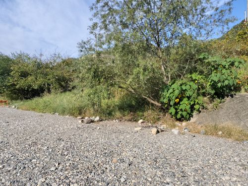 鬼リピ中 美濃橋 河川敷 ソロキャンプ たかたかぽんたさんのキャンプブログ CAMPiii（キャンピー） -キャンプ専用SNS キャンプのすべてがここに集まる-
