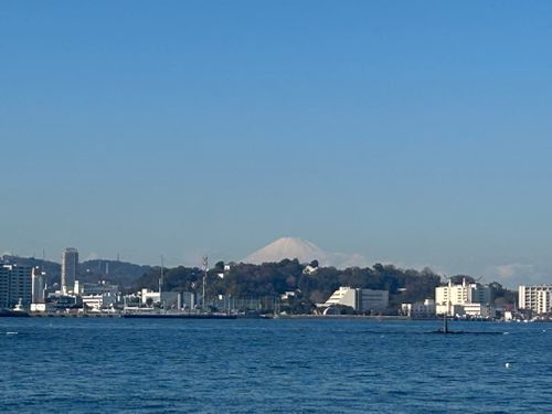 東京湾に残された唯一の自然島にてチェアリング 猿島 ソロキャンプ フリーサイト Genさんのキャンプブログ CAMPiii（キャンピー） -キャンプ専用SNS キャンプのすべてがここに集まる-