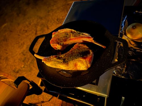 鶏と猫と面白い人@しげキャン しげキャン ソロキャンプ フリーサイト ぺちゃさんのキャンプブログ CAMPiii（キャンピー） -キャンプ専用SNS キャンプのすべてがここに集まる-