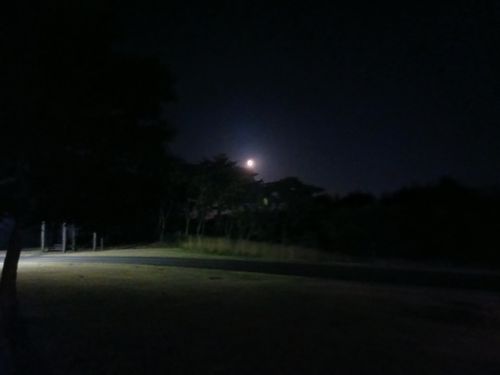 【Day10】北海道Ｃ△ｍｐ旅’  in 渡島・八雲 オートリゾート八雲 ファミリーキャンプ オートサイト キャンピングカー vios outdoor'sさんのキャンプブログ CAMPiii（キャンピー） -キャンプ専用SNS キャンプのすべてがここに集まる-